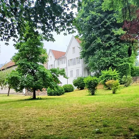 Domaine De La Moselle 3* 생 모리스 쉬르 모젤